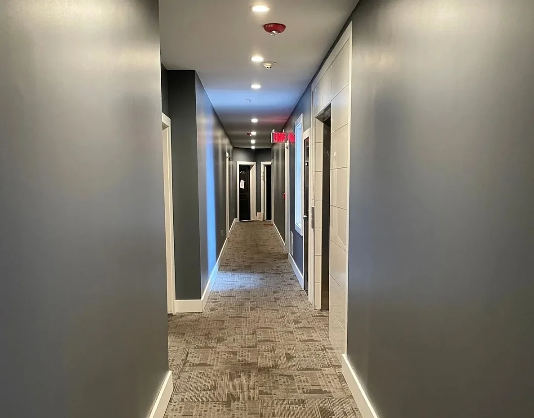 Renovated hallway with wood plank flooring and fresh gray paint