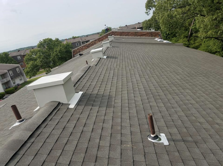 Shingle roof, vent pipes and chimney cap.